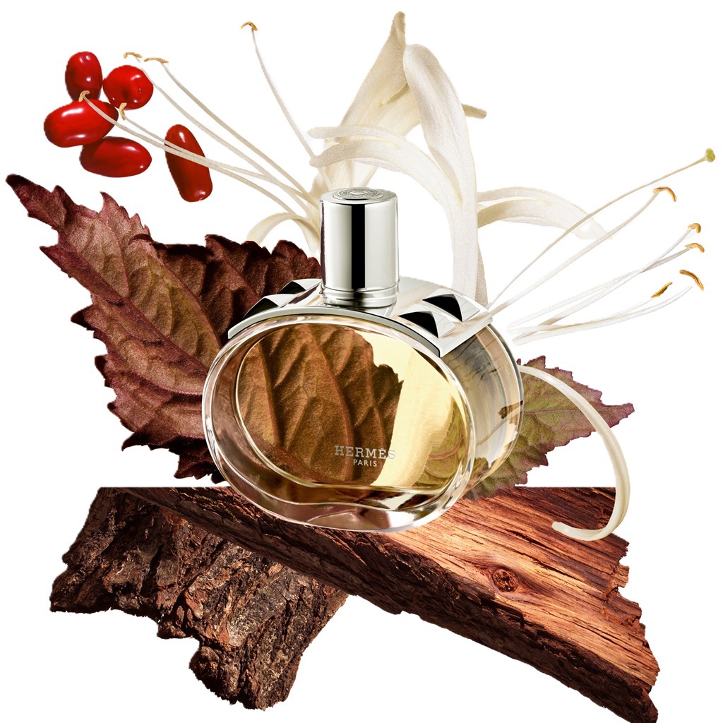 عطر بارينيا أودي بارفيوم 100 مل-1