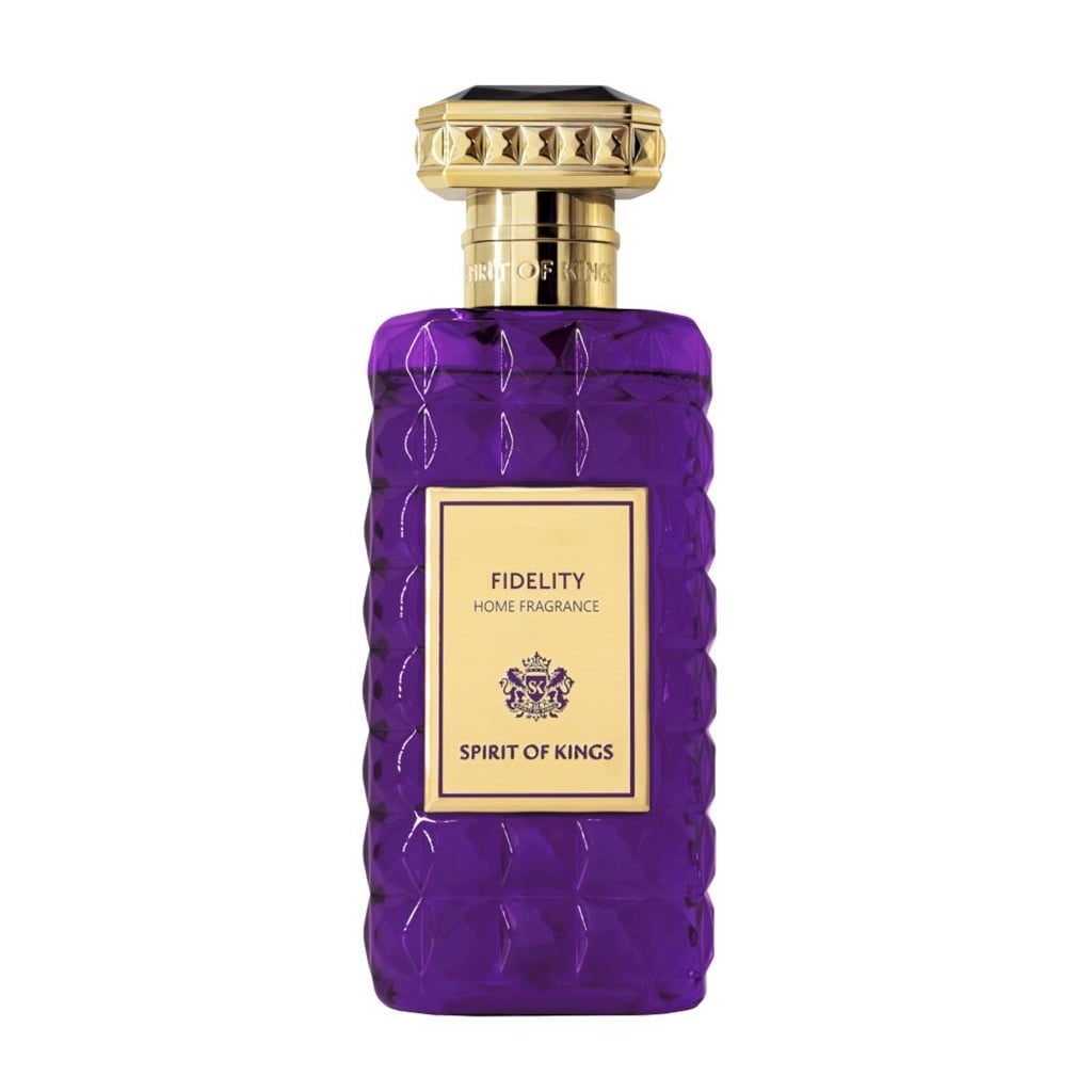 معطر جو منزلي فيديليتي 250 مل