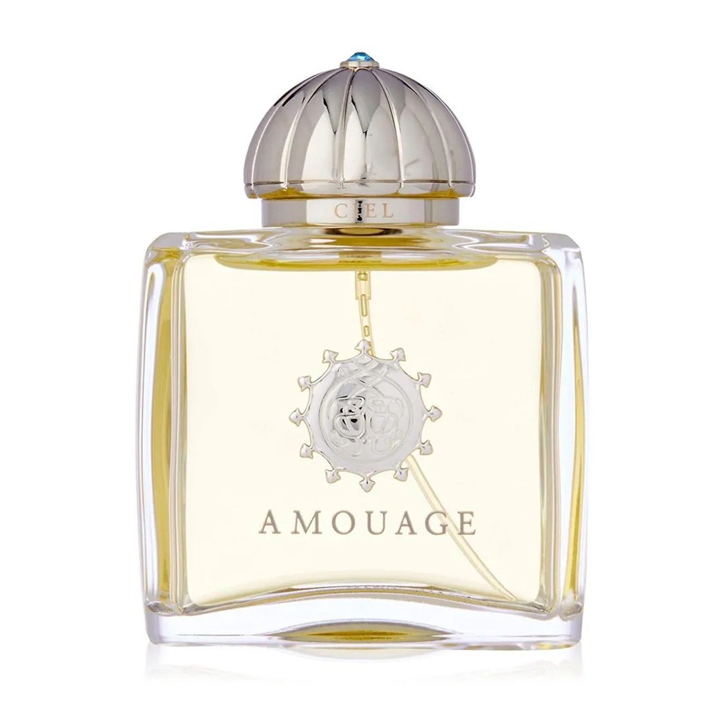 عطر سيل اودي بارفيوم 100مل-1