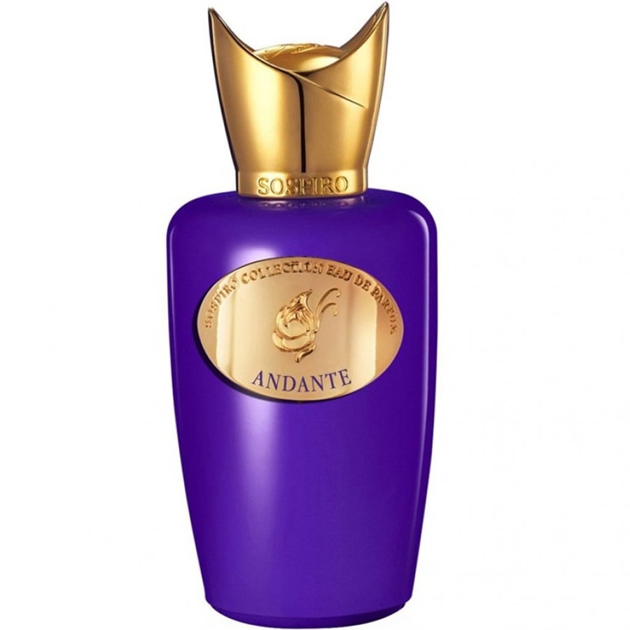عطر أندانتي اودي بارفيوم 100 مل