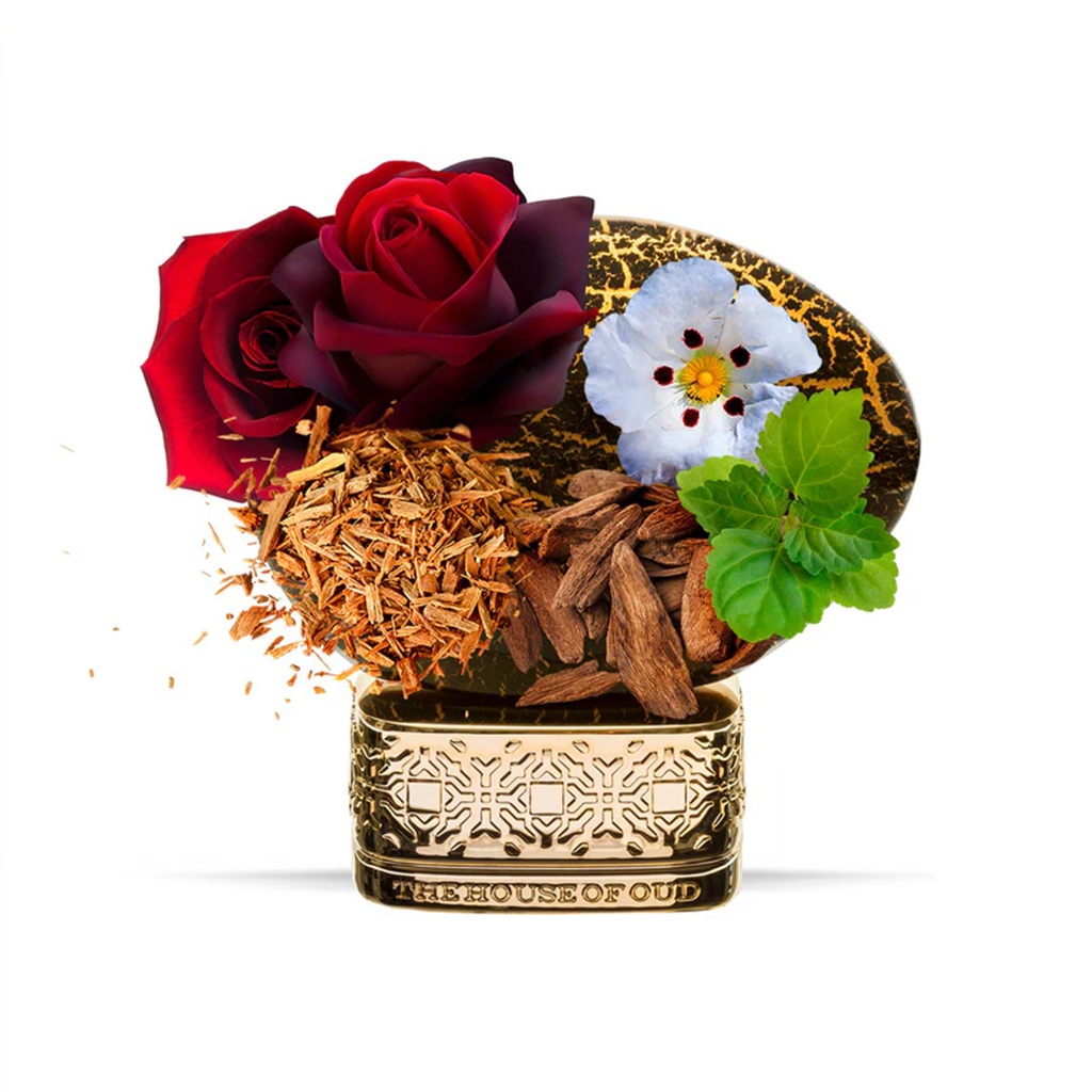 عطر بليسنج سايلنس اودي بارفيوم 75 مل-1