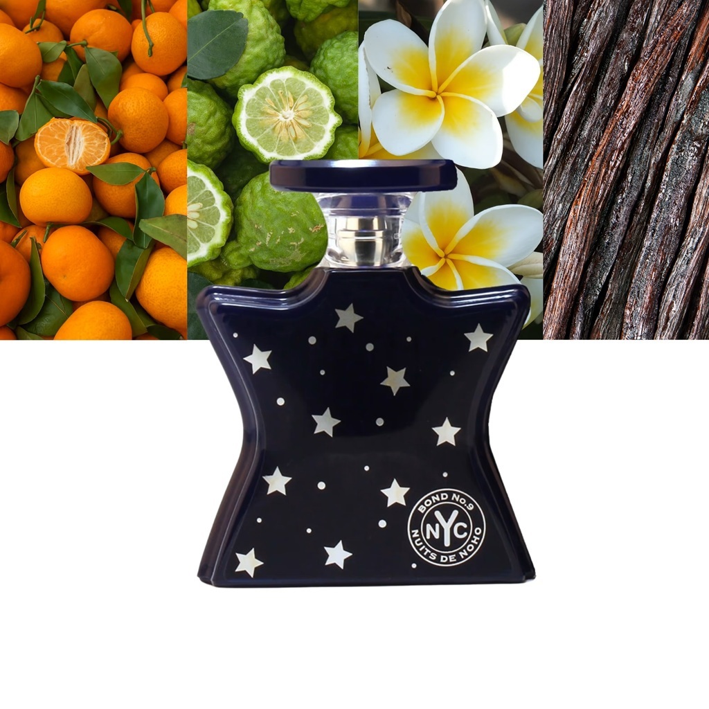 عطر نويتس دي نوهو اودي بارفيوم 100 مل-1