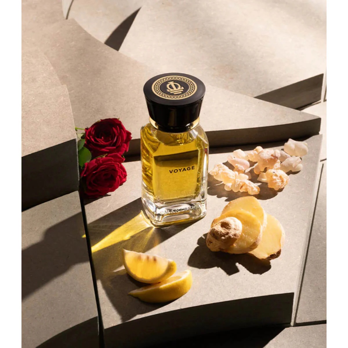عطر فوياج أودي بارفيوم 100 مل-1