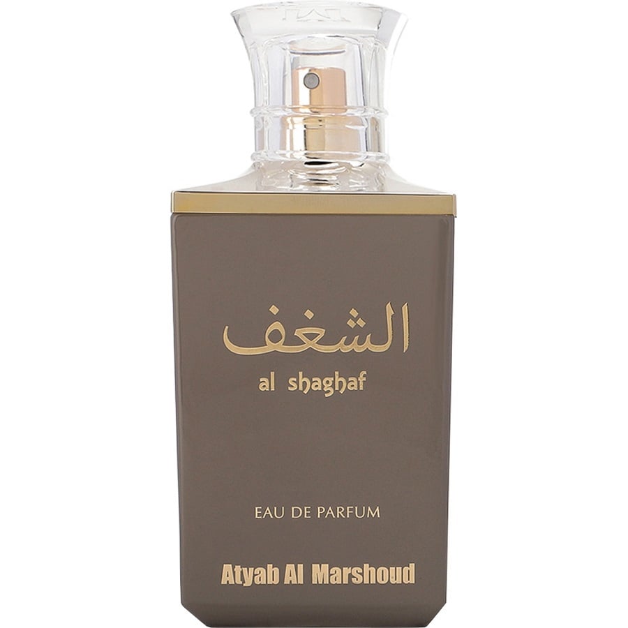 الشغف اودي بارفيوم 100 مل