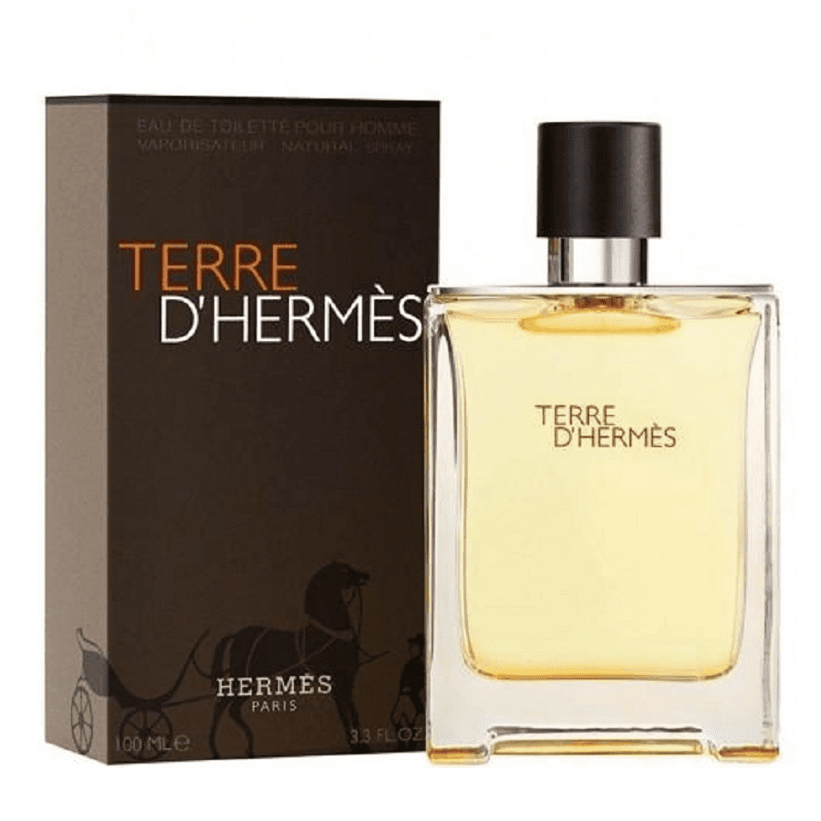 عطر تيري دي هيرميس اودي تواليت 100 مل