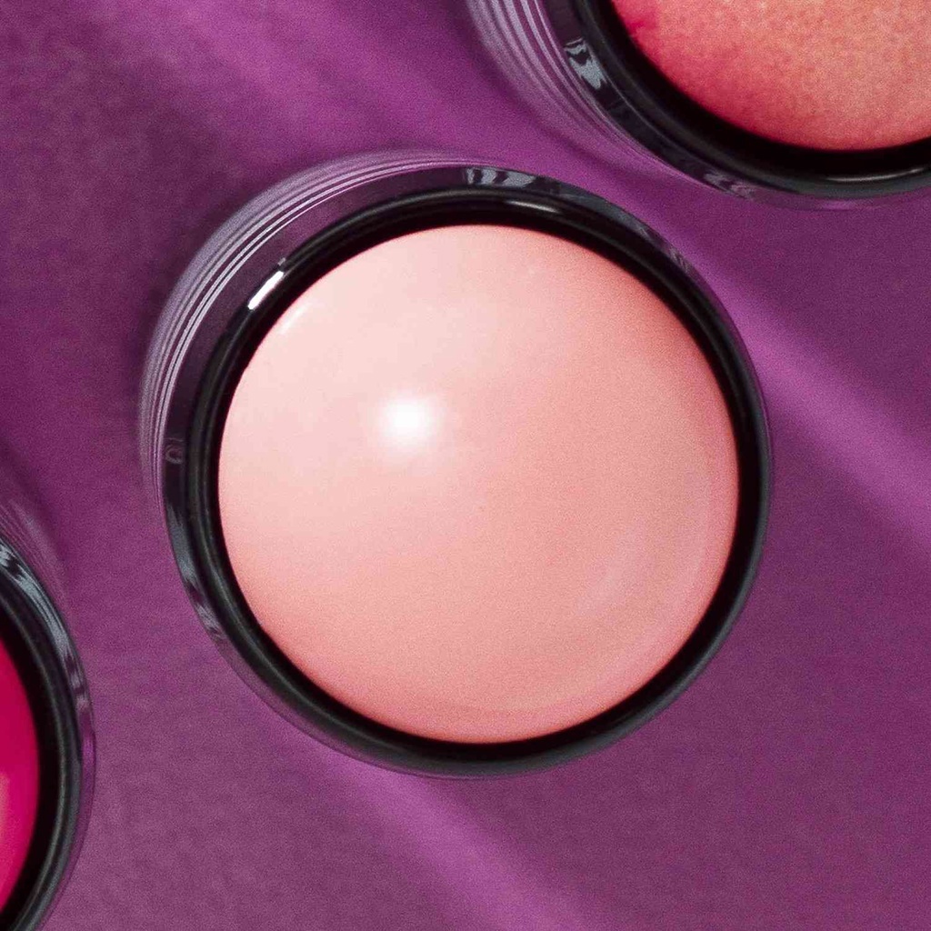 Phyto Blush Twist-2