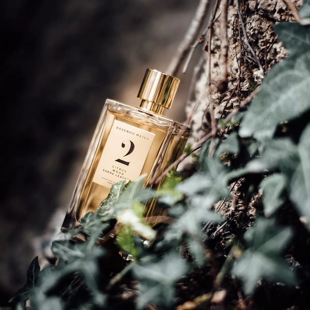 عطر 2 ستروس وود سويد لذر اودي بارفيوم 100 مل-1
