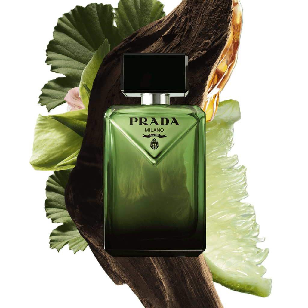 عطر بارادايم أودي بارفيوم 100 مل