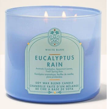 شمعة مطر الأوكالبتوس من باث آند بودي وركس 411 غرام