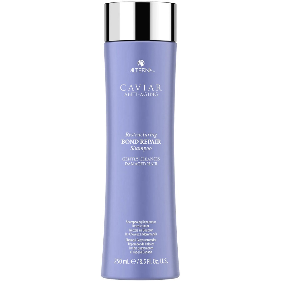 شامبو أصلاح الشعر التالف 250 مل