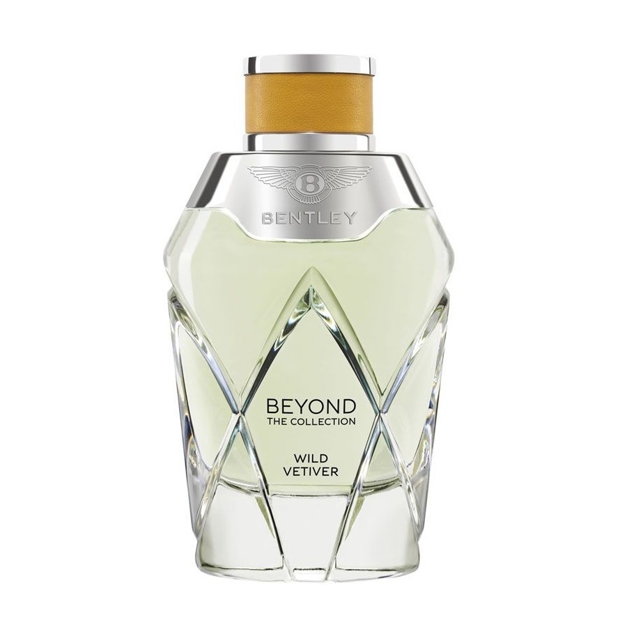 عطر وايلد فيتيفر اودي بارفيوم 100 مل