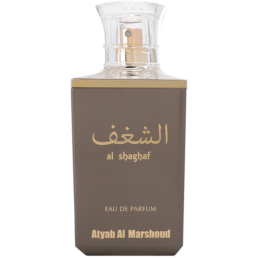 الشغف جراي اودي بارفيوم 100 مل