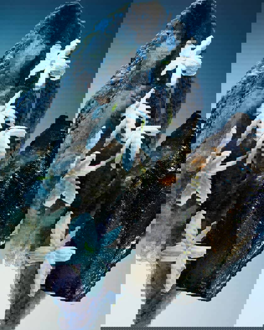  بولغاري عطر للرجال 125مل l  2