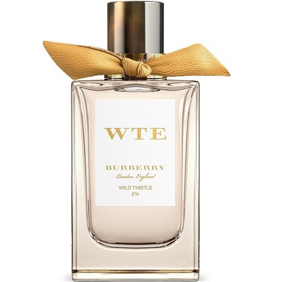 عطر وايلد ثيستل 2% اودي بارفيوم 150 مل