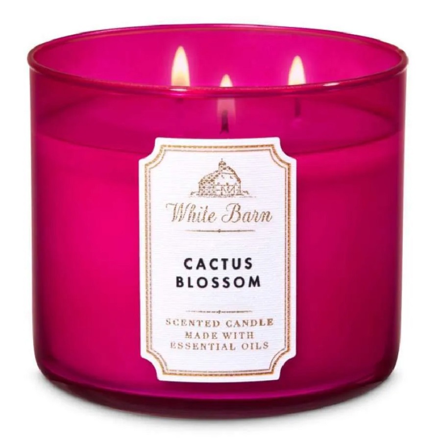 كاكتوس بلوسم شمعة معطرة بثلاث فتائل 411 غم