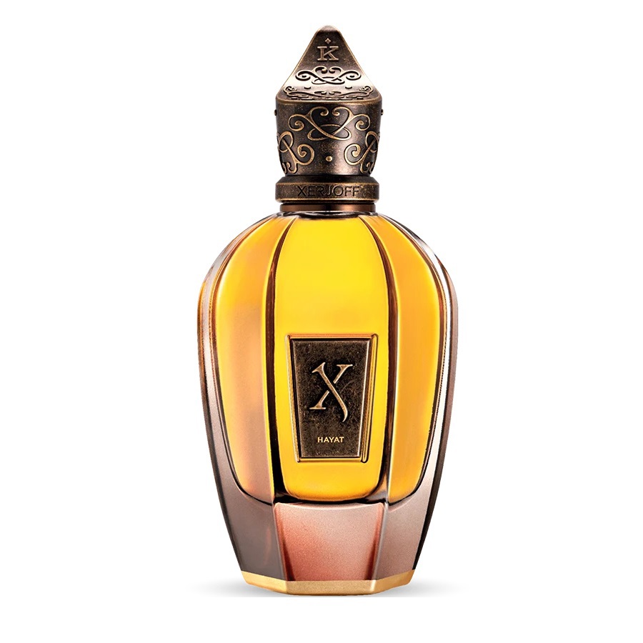 عطر حياة اودي بارفيوم 100 مل