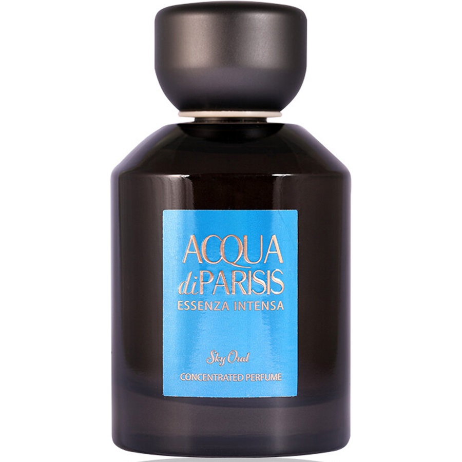 عطر سكاي عود اودي بارفيوم 100 مل