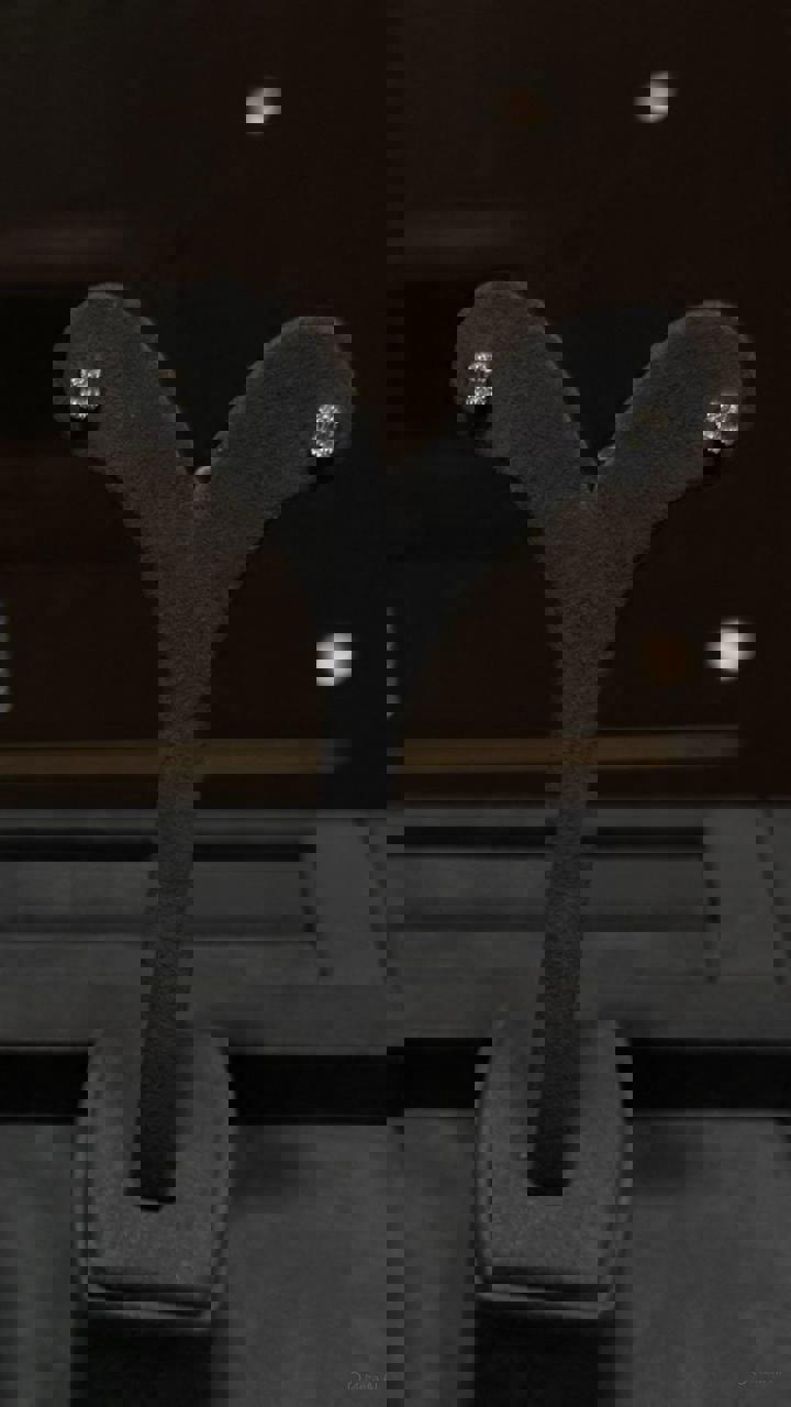 حلق اذن كلاسك